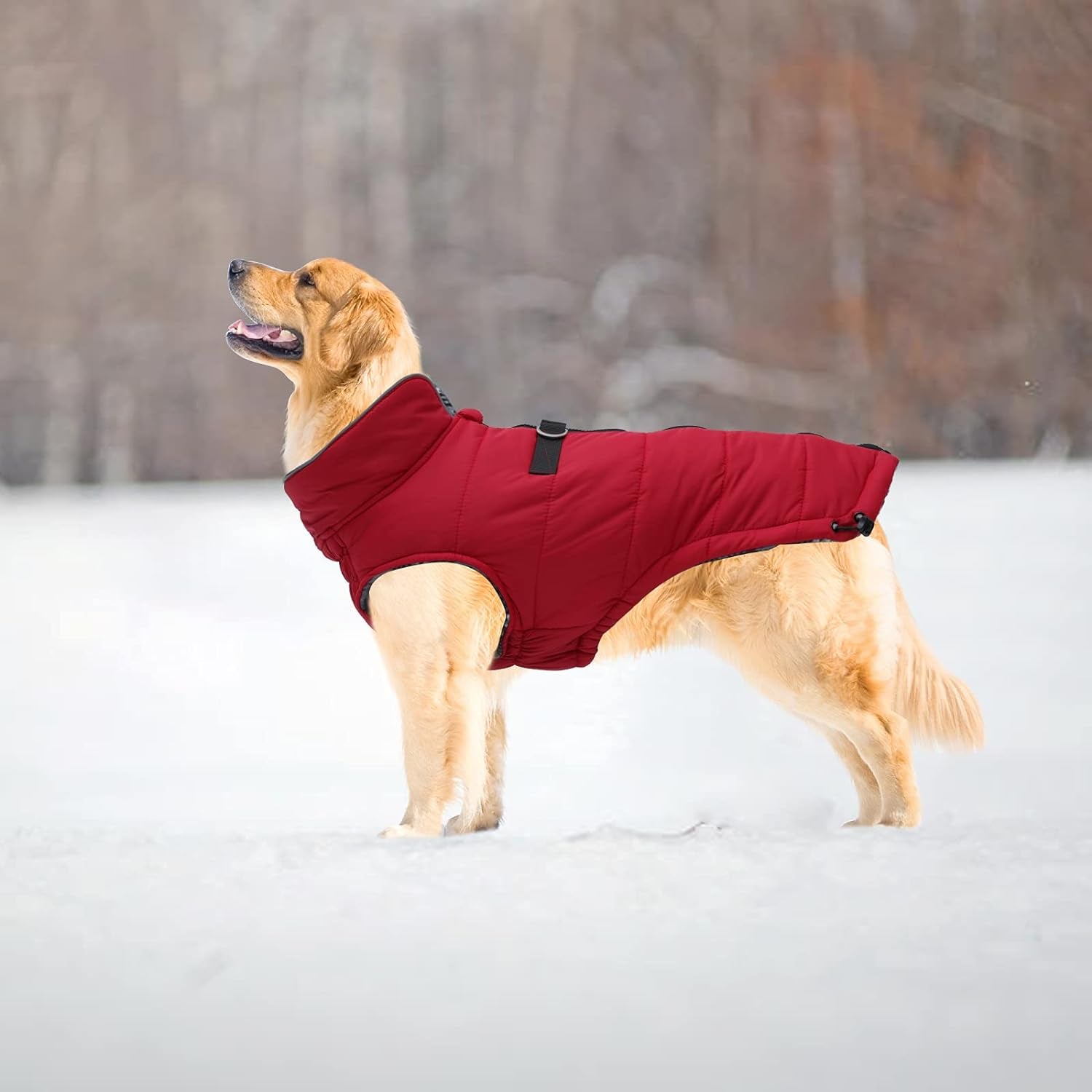 Dog Winter Warm Coat Jacket, Windproof Snowproof, Pet Outdoor Jacket for Small to Large Dogs - Red - XXL
