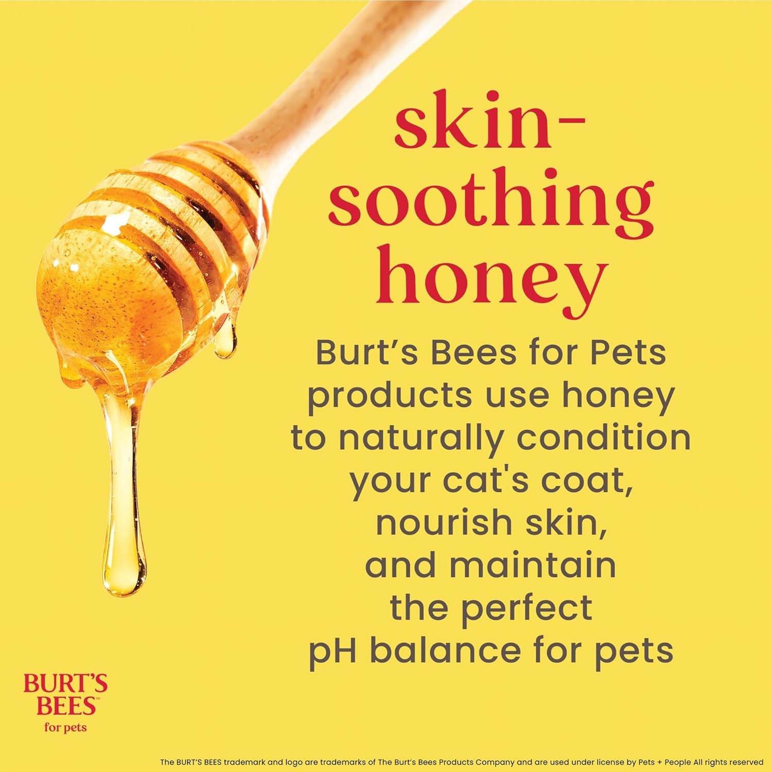 Burt'S Bees for Cats Dander Reducing Wipes - Kitten and Cat Wipes for Grooming - Burts Bees Cat Dander Wipes, Cat Grooming Wipes, Pet Wipes Cats, Cat Cleaning Wipes, Natural Cat Wipes, Cat Fur Wipes