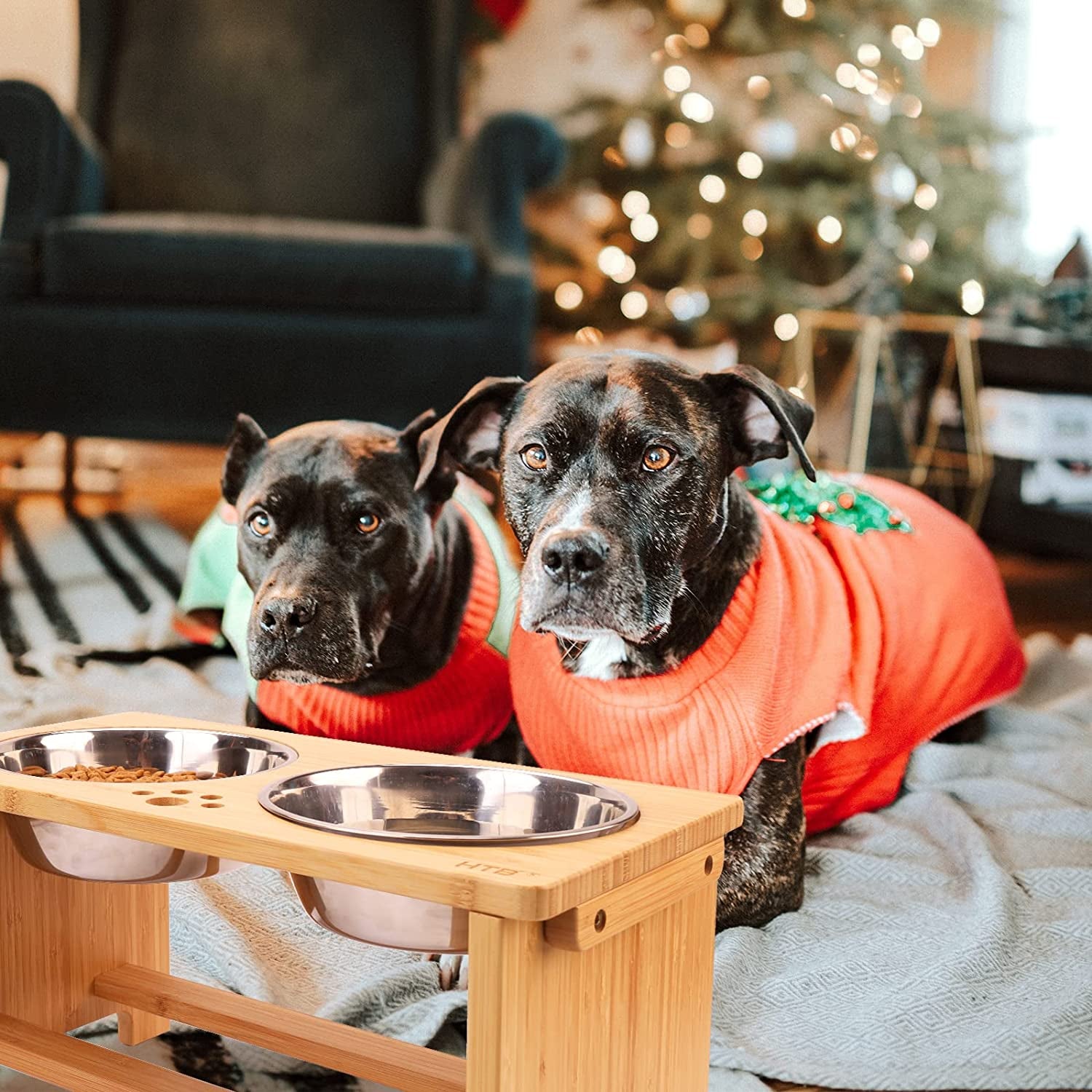 Elevated Dog Bowls,Raised Dog Bowl Stand with 2 Stainless Steel Bowls,Dog Food 
Water Bowls